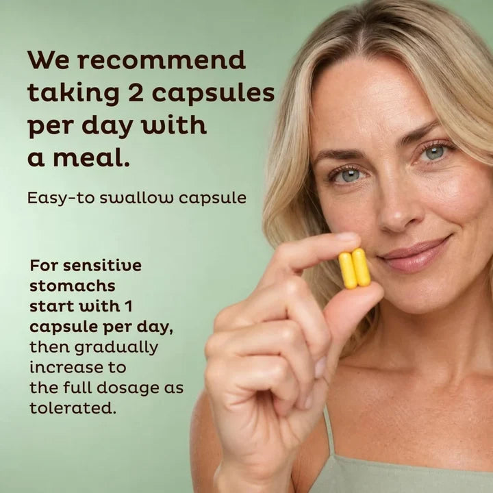Gut Health Support 60 Capsules ( Pack of 4 )