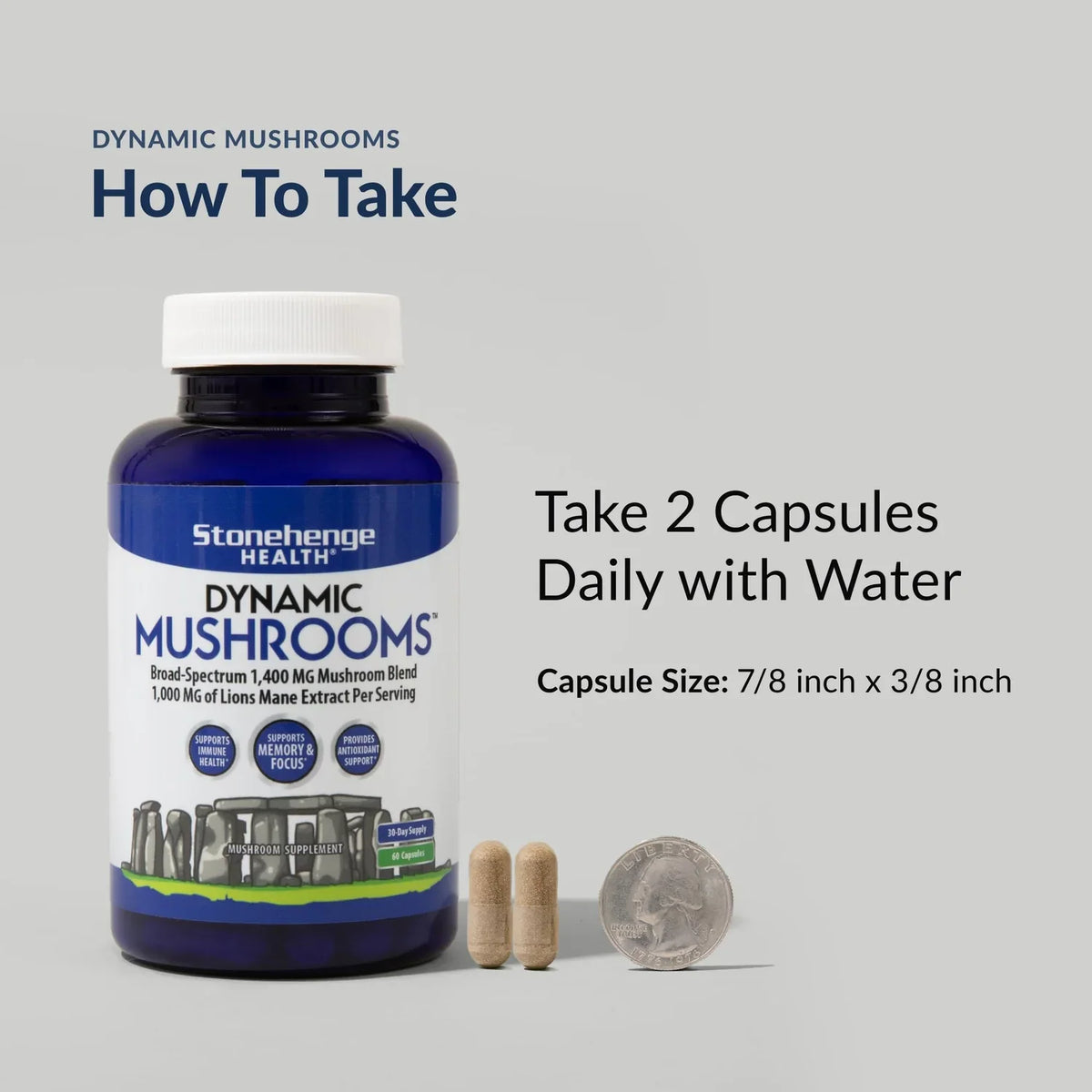 Stonehenge Dynamic Mushrooms Supplement – 60 Capsules