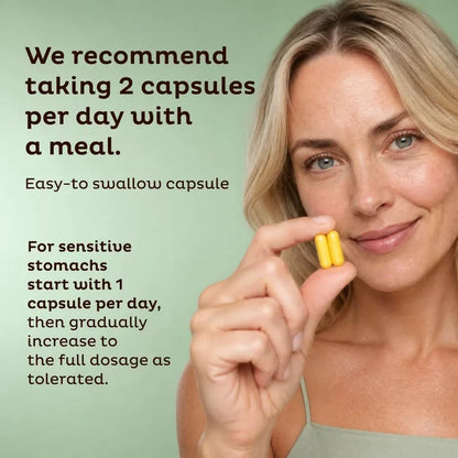Gut Health Support 60 Capsules