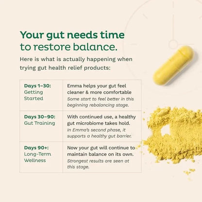 Gut Health Support 60 Capsules
