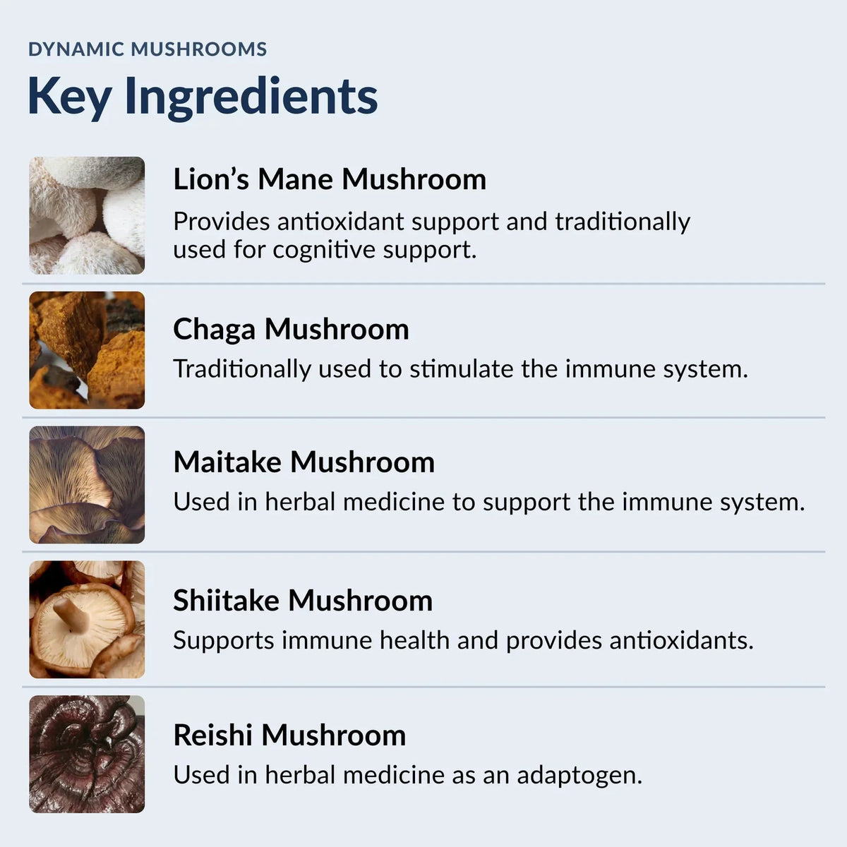 Stonehenge Dynamic Mushrooms Supplement – 60 Capsules
